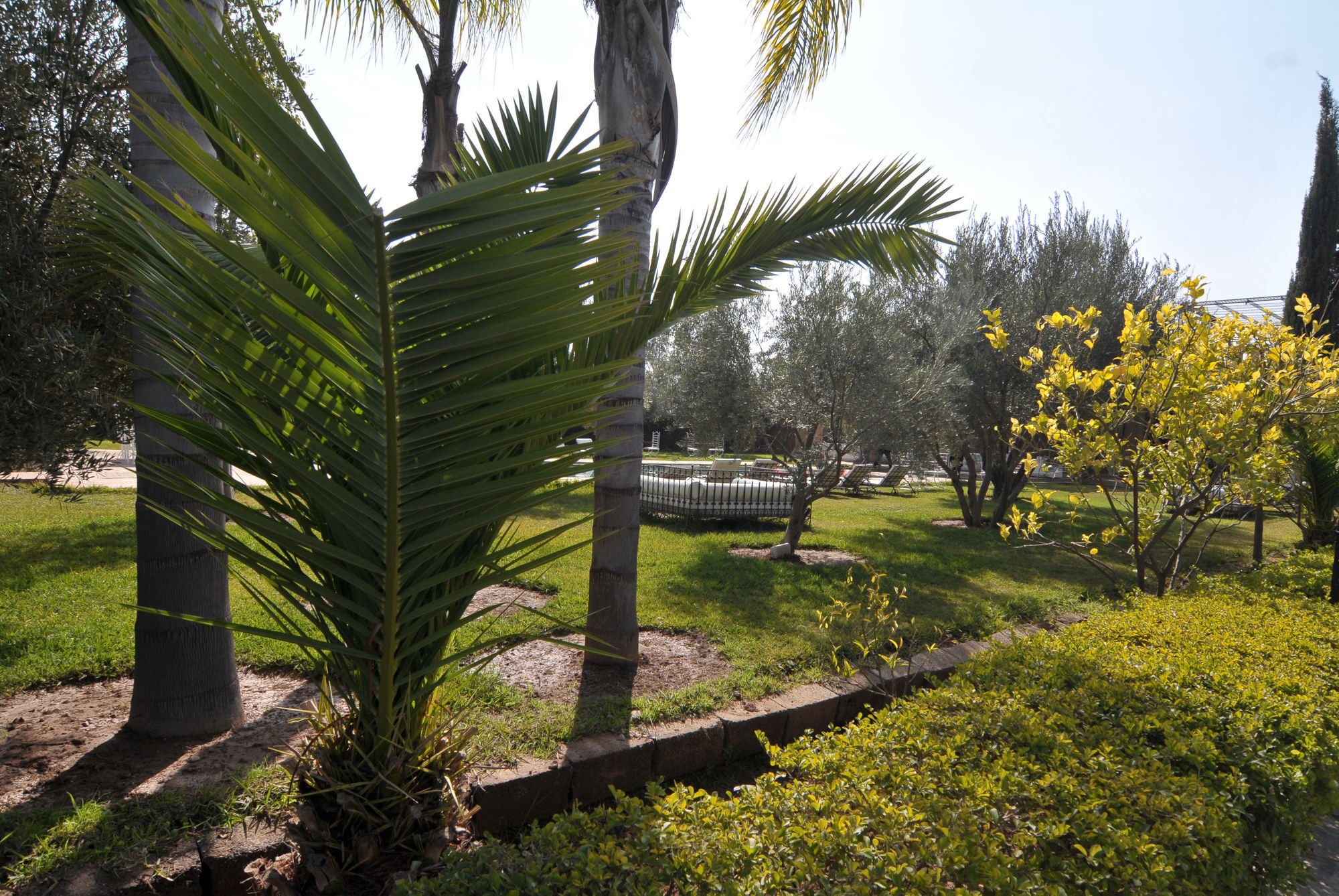 Riad Jawad & Spa Marrakesh Exterior foto