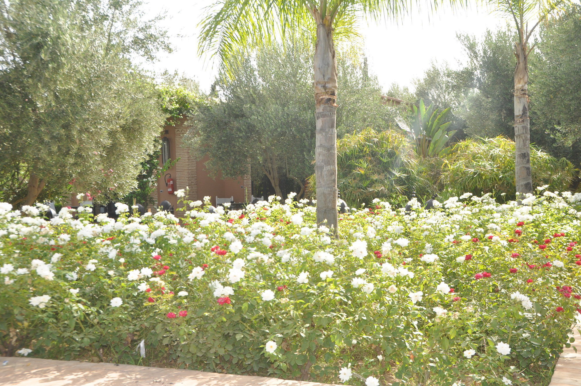 Riad Jawad & Spa Marrakesh Exterior foto